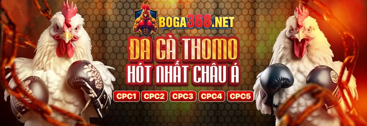 Mẹo bảo mật và chơi có trách nhiệm vt999