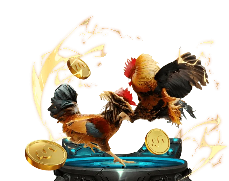 Chiến thuật cá cược đá gà hiệu quả